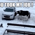 Horse Power | YOU TOOK MY JOB ! YOU TOOK MY JOB ! YOU TOOK MY JOB ! | image tagged in gifs,funny,animal,cute,horse,dank | made w/ Imgflip video-to-gif maker