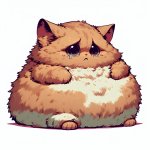 sad obese cat