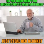 Hide the blanket Harold | DO YOU KNOW WHAT'S THE QUICKEST WAY TO MAKE ANTIFREEZE? JUST STEAL HER BLANKET | image tagged in hide the pain harold large,memes,aunt,aunty | made w/ Imgflip meme maker