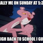 Going back to school after a fun weekend | LITERALLY ME ON SUNDAY AT 5:35 PM; ME: SIGH BACK TO SCHOOL I GUESS... | image tagged in sad pink panther | made w/ Imgflip meme maker