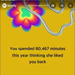 You spended 80,467 minutes meme