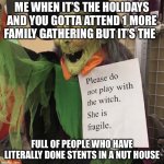 Fragile Witch | ME WHEN IT’S THE HOLIDAYS AND YOU GOTTA ATTEND 1 MORE FAMILY GATHERING BUT IT’S THE; FULL OF PEOPLE WHO HAVE LITERALLY DONE STENTS IN A NUT HOUSE | image tagged in fragile witch | made w/ Imgflip meme maker