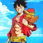 COQINU ONE PIECE