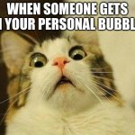 i feel uncomfortable | WHEN SOMEONE GETS IN YOUR PERSONAL BUBBLE: | image tagged in memes,scared cat | made w/ Imgflip meme maker