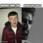 they have two sides | AVERAGE FURRY FAN; AVERAGE FURRY ENJOYER | image tagged in gifs,funny memes | made w/ Imgflip video-to-gif maker