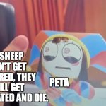 Looks like someone didn't know that sheep need to be sheared... | IF SHEEP DON'T GET SHEARED, THEY WILL GET OVERHEATED AND DIE. PETA | image tagged in pomni phone meme,peta,sheep | made w/ Imgflip meme maker