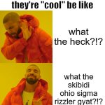 the truth | kids who think they're "cool" be like; what the heck?!? what the skibidi ohio sigma rizzler gyat?!? | image tagged in memes,drake hotline bling | made w/ Imgflip meme maker