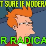 Not Sure If Moderate Or Radical | NOT SURE IF MODERATE; OR RADICAL | image tagged in skeptical fry,radical islam,anti-religion,religion,abrahamic religions,islamic terrorism | made w/ Imgflip meme maker