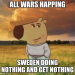 Chill guy | ALL WARS HAPPING; SWEDEN DOING NOTHING AND GET NOTHING | image tagged in chill guy | made w/ Imgflip meme maker