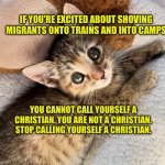 Christians don't deport human beings for being poor | IF YOU'RE EXCITED ABOUT SHOVING MIGRANTS ONTO TRAINS AND INTO CAMPS; YOU CANNOT CALL YOURSELF A CHRISTIAN. YOU ARE NOT A CHRISTIAN. STOP CALLING YOURSELF A CHRISTIAN. | image tagged in undying adoration kitten | made w/ Imgflip meme maker