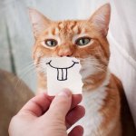 Cat Smile Paper