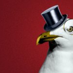 Posh Seagull