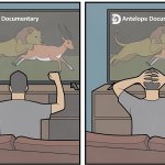 Antelope Documentary