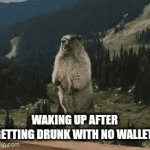 Yelling beaver | WAKING UP AFTER GETTING DRUNK WITH NO WALLET | image tagged in gifs,funny | made w/ Imgflip video-to-gif maker