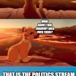 hehe | EVERYTHING THE LIGHT TOUCHES IS IMGFLIP; WHAT ABOUT THAT SHADOWY AREA OVER THERE? THAT IS THE POLITICS STREAM | image tagged in lion king | made w/ Imgflip meme maker