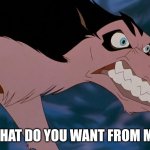 What Do You Want From Me | WHAT DO YOU WANT FROM ME | image tagged in steele,balto,jim cummings | made w/ Imgflip meme maker