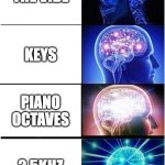 Sound engineer meme #1 | THE VIBE; KEYS; PIANO OCTAVES; 2.5KHZ | image tagged in memes,expanding brain | made w/ Imgflip meme maker