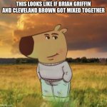 free epic Genovese | THIS LOOKS LIKE IF BRIAN GRIFFIN AND CLEVELAND BROWN GOT MIXED TOGETHER | image tagged in chill guy | made w/ Imgflip meme maker