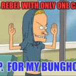 Rebel with a cause | I'M A REBEL WITH ONLY ONE CAUSE; T. P.  FOR MY BUNGHOLE | image tagged in beavis cornholio,funny memes | made w/ Imgflip meme maker