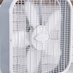literal fan