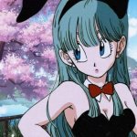 bulma bunny cute