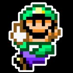 luigi middle finger
