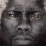 Kevin hart cat