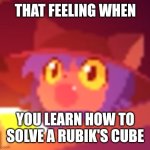 Geeniuse ◉⁠‿⁠◉ | THAT FEELING WHEN; YOU LEARN HOW TO SOLVE A RUBIK'S CUBE | image tagged in niko pog,rubik's cube | made w/ Imgflip meme maker