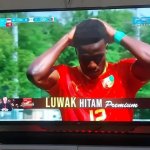 luwak hitam premium