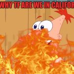 Yes Phineas | FERB WHY TF ARE WE IN CALIFORNIA?! | image tagged in yes phineas | made w/ Imgflip meme maker