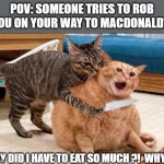 Getting robbed | POV: SOMEONE TRIES TO ROB YOU ON YOUR WAY TO MACDONALD'S; WHY DID I HAVE TO EAT SO MUCH ?!  WHY ?! | image tagged in getting robbed | made w/ Imgflip meme maker