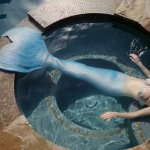 daphne mermaid