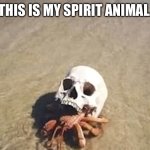 Malevolent spirits are restless tonight | THIS IS MY SPIRIT ANIMAL. | image tagged in hermit crab | made w/ Imgflip meme maker