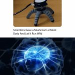 Mushroom robot body | image tagged in gifs,blank white template,memes,mushroom,robot,this is beyond science | made w/ Imgflip video-to-gif maker