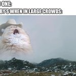 yeeeHEEEEEEEEEEEE | NO ONE:; BABY’S WHEN IN LARGE CROWDS: | image tagged in screaming cowboy cat,baby,relatable memes,relatable | made w/ Imgflip meme maker