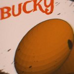 Bucky poster