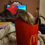 McSnitch meme