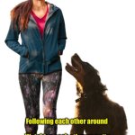 What it means to be a dog owner | Living with a dog means:; Following each other around 
 
Watching each other go potty
 
Wondering what each other has in their mouth | image tagged in dog owner,pets | made w/ Imgflip meme maker