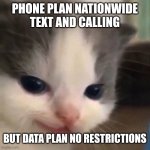 Smooth brain | PHONE PLAN NATIONWIDE TEXT AND CALLING; BUT DATA PLAN NO RESTRICTIONS | image tagged in mischief,phone,cat,funny memes,funny,meme | made w/ Imgflip meme maker