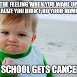 Best Feeling | THE FEELING WHEN YOU WAKE UP AND REALIZE YOU DIDN'T DO YOUR HOMEWORK; BUT SCHOOL GETS CANCELLED | image tagged in memes,success kid original | made w/ Imgflip meme maker