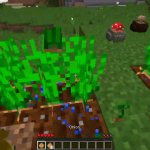 minecraft pov harvest