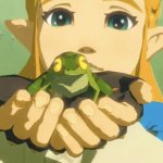 I don’t know who needed this, but I found Zelda holding a frog. | image tagged in forg,memes | made w/ Imgflip meme maker