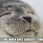 Satisfied Seal | THAT FEELING WHEN KNEE SURGERY TOMORROW | image tagged in memes,satisfied seal | made w/ Imgflip meme maker