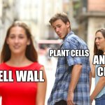 Distracted Boyfriend | PLANT CELLS; ANIMAL CELLS; CELL WALL | image tagged in memes,distracted boyfriend | made w/ Imgflip meme maker