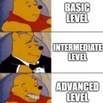 level | BASIC LEVEL; INTERMEDIATE LEVEL; ADVANCED LEVEL | image tagged in best better blurst | made w/ Imgflip meme maker