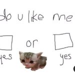 Do you like me meme