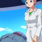 bulma and trunks