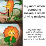 my mom when driving | my mom when someone makes a small driving mistake; my mom after cutting off multiple people, running a red light, and slamming on her breaks | image tagged in cuphead flower | made w/ Imgflip meme maker