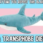 Transphobe killing Blahaj meme