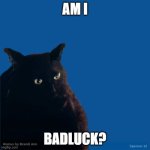 Contemplate Cat | AM I; BADLUCK? | image tagged in contemplate cat | made w/ Imgflip meme maker